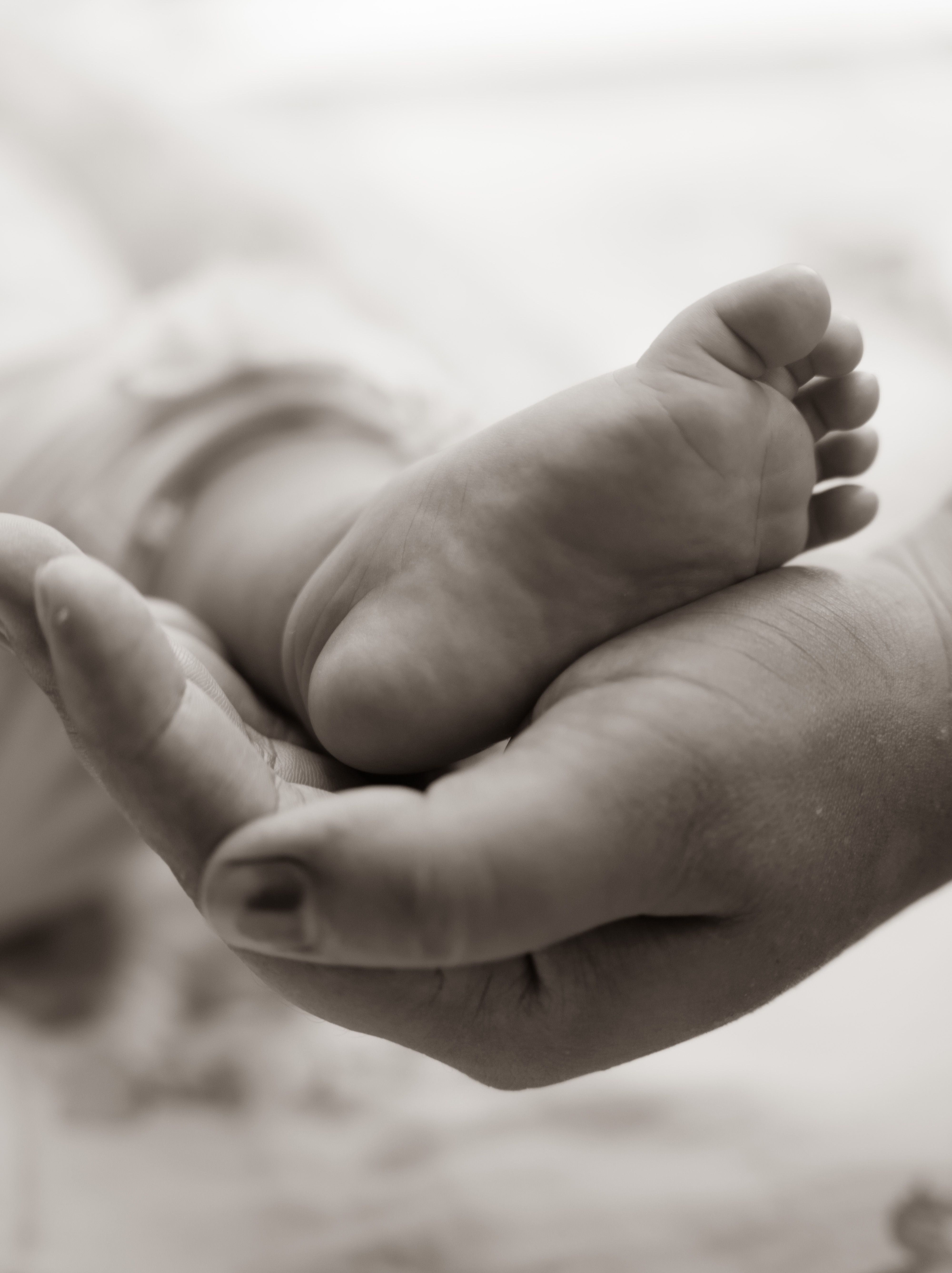 An adult hand cups a baby's foot